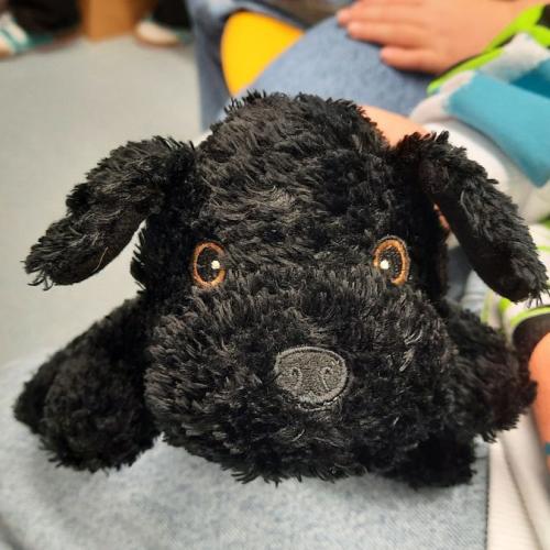 Tierschutz macht Schule