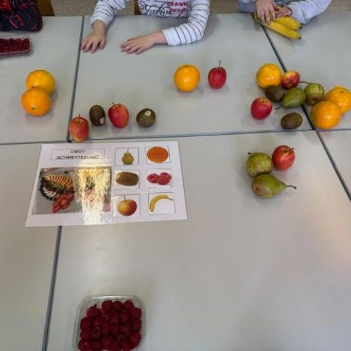 Besuch bei der ASO Zams2