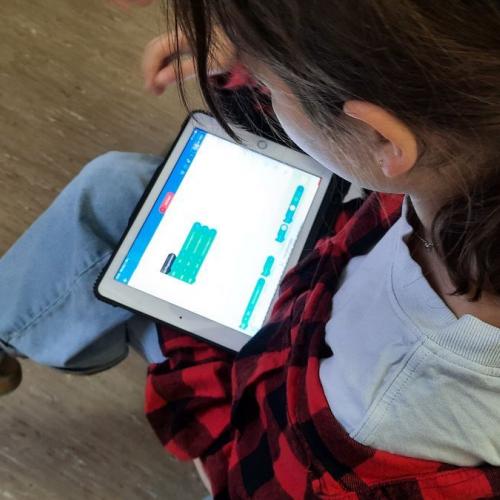 MINT-Workshop_MS_Landeck