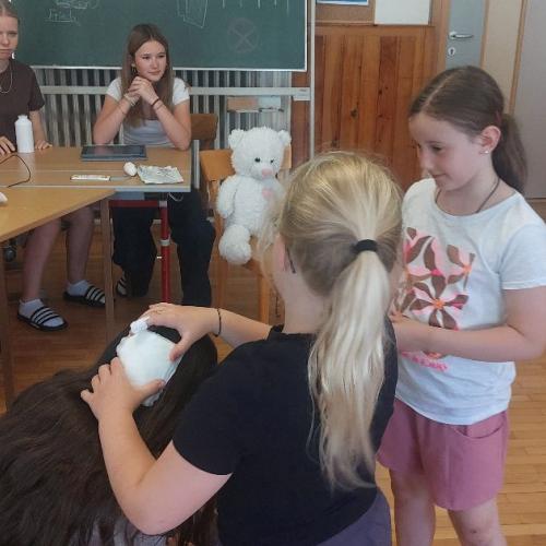 Bild 7
