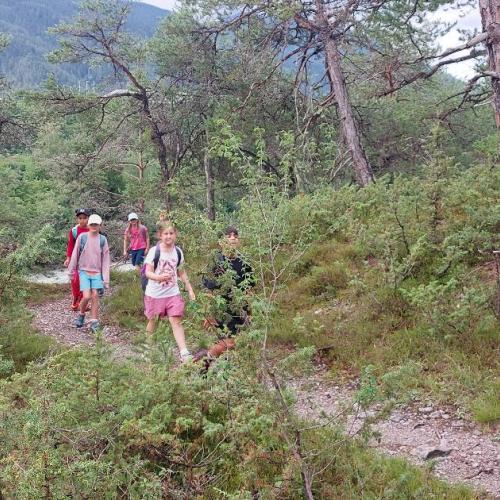 Bild 8
