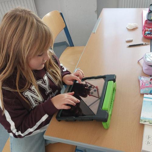 Bild 6