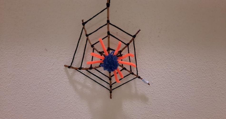 Werken - Spinnennetz und Spinne