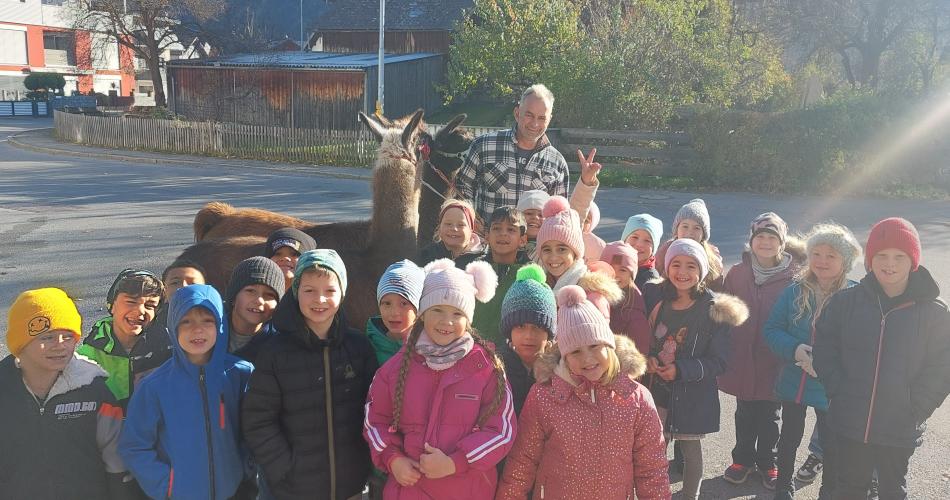 Bild 12
