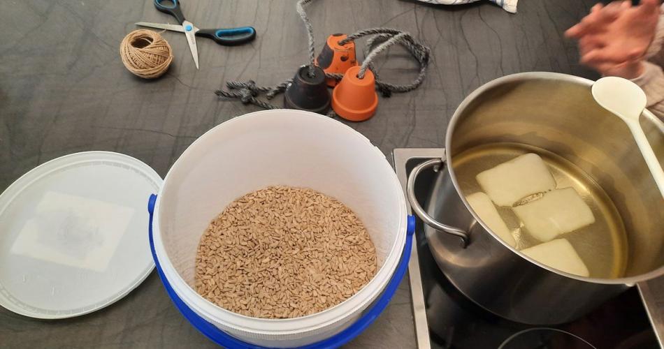 Futterglocken und Futterknödel